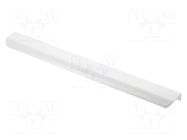Holder; aluminium; white; H: 17mm; L: 360mm; W: 40mm; HEXA GTV Poland