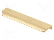 Holder; aluminium; golden; H: 17mm; L: 190mm; W: 40mm; HEXA GTV Poland