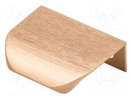 Holder; aluminium; brass; H: 17mm; L: 50mm; W: 40mm; Holes pitch: 32mm GTV Poland