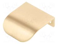 Holder; ZnAL; brushed gold; H: 13.5mm; L: 44mm; W: 46mm; FIORD GTV Poland