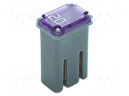 Fuse: fuse; 20A; automotive; 10.7mm; 10.7x7.7x17.5mm ELED
