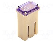 Fuse: fuse; 25A; automotive; 10.7mm; 10.7x7.7x17.5mm ELED