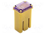 Fuse: fuse; 60A; automotive; 10.7mm; 10.7x7.7x17.5mm ELED