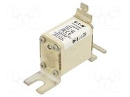 Fuse: fuse; 250A; 690VAC; aR; industrial; NH00 BUSSMANN