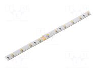 LED tape; white warm; 3528; LED/m: 60; 8.5mm; white PCB; IP65; 120° KGP ELECTRONICS