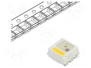 Programmable LED; RGBW; SMD; 3535,PLCC4; 3.7÷5.5VDC; 3800-4200K OPSCO Optoelectronics