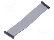 Ribbon cable with IDC connectors; IDC,both sides; Tape ph: 1mm SAMTEC