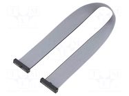 Ribbon cable with IDC connectors; IDC,both sides; Tape ph: 1mm SAMTEC