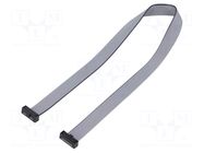 Ribbon cable with IDC connectors; IDC,both sides; Tape ph: 1mm SAMTEC