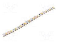 LED tape; white warm; 5050; LED/m: 60; 10mm; white PCB; IP44; 120° KGP ELECTRONICS