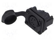 Connector: XLR; socket; female; AXS; 7.5A; 133V; PIN: 5; IP65 AMPHENOL