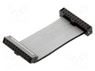 Ribbon cable with IDC connectors; IDC,both sides; Tape ph: 1mm SAMTEC