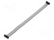 Ribbon cable with IDC connectors; IDC,both sides; Tape ph: 1mm SAMTEC