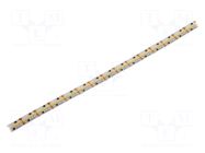 LED tape; white warm; 2216; LED/m: 420; 8mm; white PCB; IP20; 120° KGP ELECTRONICS