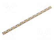 LED tape; white warm; 2216; LED/m: 420; 8mm; white PCB; IP20; 120° KGP ELECTRONICS