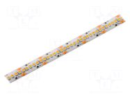 LED tape; white warm; 3528; LED/m: 240; 10.5mm; white PCB; IP65 KGP ELECTRONICS