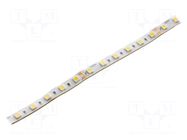LED tape; white neutral; 5050; LED/m: 60; 10mm; white PCB; IP44 KGP ELECTRONICS