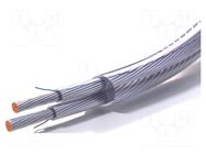 Wire; 05VV-F; 2x0.75mm2; round; stranded; Cu,tinned; PVC; 300V,500V SIMECH