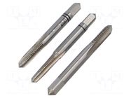 Kit: taps; Holder: square,hand; L: 50mm; Kit: taps; 4.9mm; Thread: M6 RECA