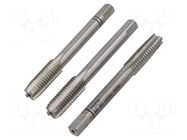 Kit: taps; Holder: square,hand; L: 56mm; Kit: taps; 4.9mm; Thread: M8 RECA