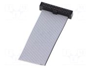 Ribbon cable with IDC connectors; IDC,wires; Tape ph: 1mm; 2" SAMTEC