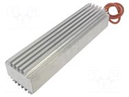 Heater; heating; LM-Double; 150W; 230VAC; IP54; 303x80x86mm RO/SE BlechverarbeitungGmbH & Co. KG