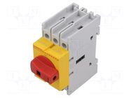 Switch-disconnector; Poles: 3; for DIN rail mounting,screw type LOVATO ELECTRIC