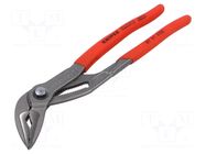 Pliers; adjustable; 250mm KNIPEX