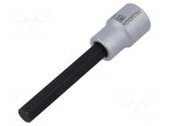 Socket; hex key,socket spanner; HEX 10mm; 1/2" PROXXON