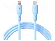 Cable; USB 2.0; Apple Lightning plug,USB C plug; nickel plated AKYGA