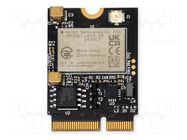 Module: LTE; u.FL; LTE- M/NB-IoT; -107dBm; 22x30mm; Comp: nRF9161 CTHINGS