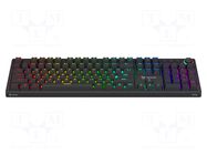 Keyboard; black; USB C; wired,US layout; 1.5m SAVIO