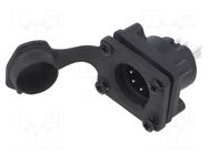 Connector: XLR; socket; male; AXS; 7.5A; 133V; PIN: 5; IP65; straight AMPHENOL