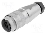 Connector: M16; plug; male; for cable; PIN: 7; 300V; straight; 4÷6mm AMPHENOL