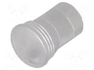 Fiber for LED; Ø5.2mm; L: 6.3mm; round; Front: flat; straight; IP68 MENTOR