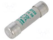 Fuse: fuse; 6A; 500VAC; aM; ceramic,cylindrical,industrial DF ELECTRIC