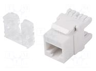 RJ45 module; white; Cat: 6; on cable; RJ45 socket; -10÷60°C; 36V LANBERG