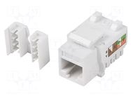 RJ45 module; white; Cat: 6; on cable; RJ45 socket; -10÷60°C; 36V LANBERG
