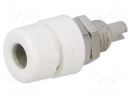 Connector: 4mm banana; socket; 30VAC; 60VDC; 32A; white; BIL 30 HIRSCHMANN T&M