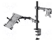 LCD/LED holder; black; with laptop arm; 8kg; 75x75mm,100x100mm GOOBAY