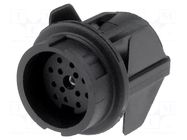 Connector: DIN; socket; female; C091B; PIN: 12; soldering; 150V; 3A AMPHENOL