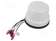 Antenna; automotive,external; Bluetooth,GSM,LTE,UMTS,WiFi; top MTA