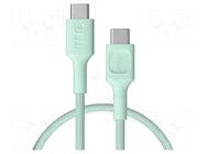 Cable; USB 2.0; USB C plug,both sides; 0.3m; green; 480Mbps; 100W GREEN CELL