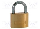 Padlock; shackle; Application: toolboxes,cabinets,bags,cases KASP