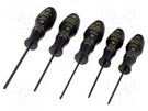Kit: screwdrivers; Torx® with protection; ESD; 5pcs. C.K