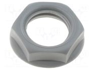 Nut; grey; S2 CLIFF