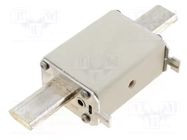 Fuse: fuse; 100A; 500VAC; 440VDC; gG; ceramic,industrial; NH2 SIBA