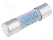 Fuse: fuse; 4A; 1kVAC; gR; ceramic,cylindrical; 10.3x38mm; URZ SIBA