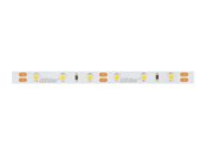 LED line® strip 300 SMD 12V 11000K 4,8W 30m