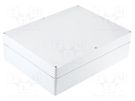 Enclosure: multipurpose; X: 230mm; Y: 300mm; Z: 87mm; EURONORD; ABS FIBOX